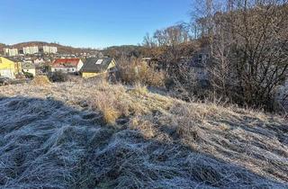 Grundstück zu kaufen in 58675 Hemer, Eine Doppelhaushälfte mit Freunden?