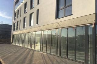 Geschäftslokal mieten in 64380 Roßdorf, Modern, Hochwertig, Neubau Ladenfläche, ab sofort Verfügbar!