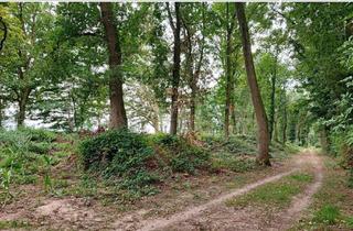 Immobilie kaufen in 47608 Geldern, Wald kaufen, Freiheit spüren: Mischwald in Geldern-Walbeck verfügbar