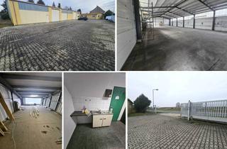 Büro zu mieten in 04683 Belgershain, Pfeilerfreie Lagerhalle mit 2 Rolltoren, Büro, Lager, Teeküche, WC & zusätzl. Freifläche