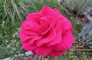 Haus kaufen in 73450 Neresheim, Neresheim - **Freistehendes Mehrgenerationenhaus mit DG Studiowohnung: 2 EBK- 2 Bäder- 2 Garagen- auf sonnigem Grundstück!!**