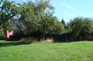 Haus kaufen in 04880 Dommitzsch, Dommitzsch - Angebot für großes Grundstück mit Scheune, Stall und Garten