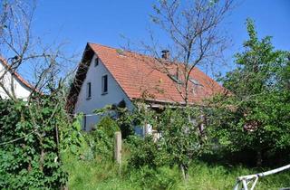 Einfamilienhaus kaufen in 04916 Herzberg, Herzberg (Elster) - Freistehendes Haus in Brandenburg mit großen Grundstück