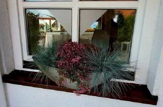 Einfamilienhaus kaufen in 90513 Zirndorf, Zirndorf - Renditeobjekt in Zirndorf 2 Häuser5 WE + 973 m² Grundstück