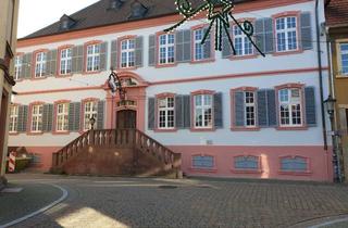 Wohnung mieten in Schloßstraße 31, 67292 Kirchheimbolanden, Wohnen in historischem Ambiente !