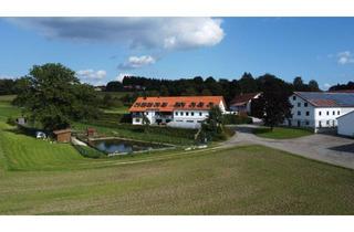 Wohnung mieten in Riffenthal, 84416 Inning am Holz, 1-Zimmer Wohnung in Inning am Holz (Inning am Holz)