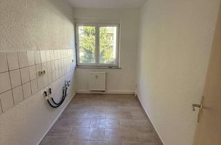 Wohnung mieten in Am Schlossteich 2c, 38838 Huy, schöne 1 Raum Wohnung im Erdgeschoss mit Balkon