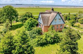 Haus kaufen in 25348 Glückstadt, Rarität - Warfthaus direkt an der Elbe