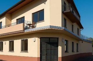 Mehrfamilienhaus kaufen in 69124 Kirchheim, Attraktive Kapitalanlage in Heidelberg-Kirchheim: Gepflegtes Mehrfamilienhaus mit Gewerbeeinheit