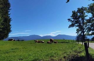 Haus kaufen in 82377 Penzberg, Traumgrundstück in Traumlage