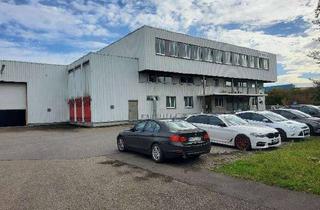 Gewerbeimmobilie kaufen in 4. Industriestraße 18, 68766 Hockenheim, Gewerbeimmobilie mit Entwicklungspotenzial