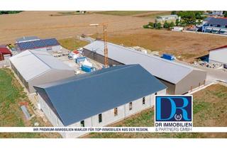 Gewerbeimmobilie mieten in Dieselstraße, 85134 Stammham, Industriehalle mit Produktions- und Lagerflächen zur Miete!