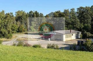 Gewerbeimmobilie kaufen in 95346 Stadtsteinach, 7.000 m² Areal mit Halle und Lager – Gewerbe oder Wohnbau möglich