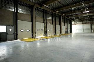 Gewerbeimmobilie mieten in 34582 Borken, Lager- und Logistikflächen mit guter Anbindung an die A49