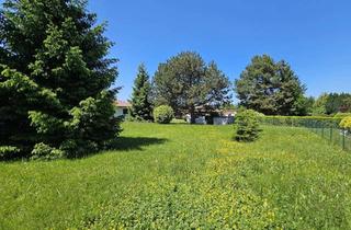 Grundstück zu kaufen in 75173 Südweststadt, Baugrundstück in ruhiger Lage im Rodgebiet
