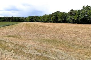 Grundstück zu kaufen in 49525 Lengerich, Rechteckig geschnittene Ackerfläche in Lengerich-Wechte