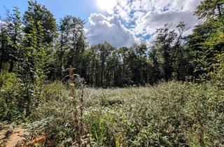 Grundstück zu kaufen in 49143 Bissendorf, Baugrundstück in Villenlage am Eistruper Berg in Bissendorf