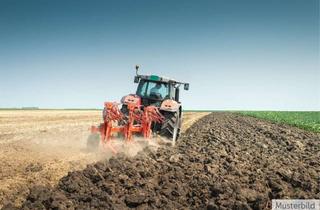 Grundstück zu kaufen in 49479 Ibbenbüren, Investition für die Zukunft: 1,56 ha verpachtetes Ackerland in Ibbenbüren-Dörenthe!