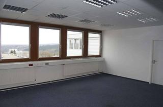 Gewerbeimmobilie mieten in 75217 Birkenfeld, Moderne, sonnige Gewerberäume mit herrlichem Blick auf Pforzheim