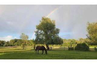 Immobilie kaufen in 14641 Nauen, Pferdeparadies: Wohnhaus mit Platz für 25 Pferde auf idyllischem Hof