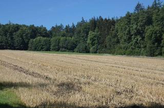 Gewerbeimmobilie kaufen in 86653 Monheim, Gut gelegene landwirtschaftliche Fläche