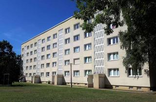 Wohnung mieten in K.- Niederkirchner Straße 33, 06712 Zeitz, Wir machen uns für Sie eine Platte!