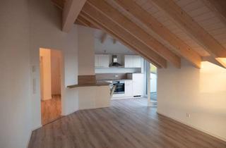 Wohnung mieten in Sonnenstraße 19, 63785 Obernburg, Schöne, geräumige zwei Zimmer Wohnung in Miltenberg (Kreis), Obernburg am Main