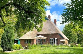 Haus kaufen in 23730 Sierksdorf, Reetzauber außen, modernes Innenleben ostseenah in Sierksdorf