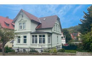 Villa kaufen in 38889 Blankenburg (Harz), Charmante Stadtvilla in Blankenburg–ideal für Eigennutzer mit Vermietungsoption oder Kapitalanleger!