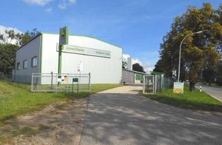 Gewerbeimmobilie kaufen in 17166 Dahmen, Vielseitig nutzbar: Mehrzweckgebäude - Werkstatt - Lagerhalle - Grundstück ca. 7.000 m²....