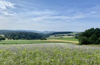 Grundstück zu kaufen in Ziegelbergstraße 14, 63826 Geiselbach, Baugrundstück in der Nähe von Frankfurt, Hanau, Gelnhausen, Aschaffenburg