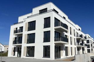 Immobilie mieten in Neugraben, 68526 Ladenburg, Erstbezug - sofort beziehbar! Neu fertiggestellte Gewerbefläche im Neubaugebiet von Ladenburg