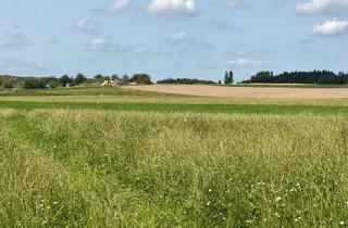 Grundstück zu kaufen in 83128 Halfing, Landwirtschaftliche Flächen Mühldorf bei Halfing