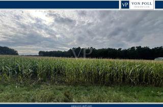 Immobilie kaufen in 15859 Bugk, Weitläufiges Land- und Forstwirtschaft- Grundstück