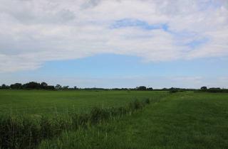 Immobilie kaufen in 26969 Butjadingen, Landwirtschaftliche Flächen in Butjadingen-Sillenser Wisch