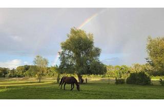 Immobilie kaufen in 14641 Nauen, Pferdeparadies: Wohnhaus mit Platz für 25 Pferde auf idyllischem Hof