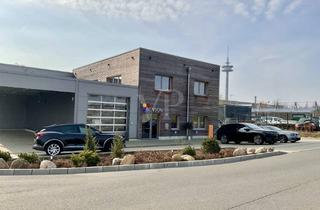 Büro zu mieten in 29525 Uelzen, Moderne Bürofläche mit hochwertiger Ausstattung - Erstbezug in Uelzen