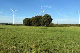 Immobilie kaufen in 27628 Bramstedt, Landwirtschaftliche Fläche im Bramstedermoor
