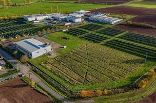 Gewerbeimmobilie kaufen in 98646 Straufhain, Großraum Coburg: Gewerbeimmobilie (ca. 1.800 m² Gewerbefl.) in Top-Zustand mit Erweiterungspotenzial