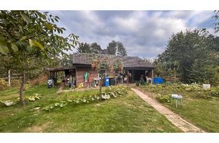 Einfamilienhaus kaufen in 29496 Waddeweitz, Waddeweitz - Einfamilienhaus mit Obstgarten auf 707 m² Grundstück