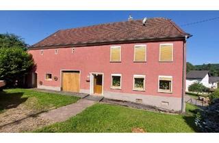 Bauernhaus kaufen in 66620 Nonnweiler, Nonnweiler - Org. saarl. Bauernhaus gr. Garten 1000qm option. Baumöglichkeit