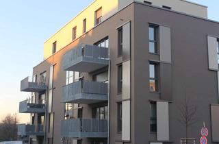 Wohnung mieten in Waldstraße, 74906 Bad Rappenau, Helle 4-Zi.Whg. mit Balkon und EBK