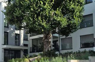 Wohnung mieten in Frankfurter Straße 13, 61462 Königstein, NEUBAU: Attraktive 3-Zimmerwohnung mit luxuriöser Ausstattung in Königstein im Taunus