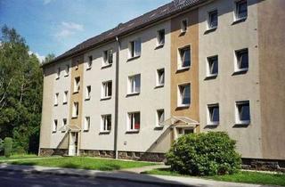 Wohnung mieten in Lessingstr. 31, 08626 Adorf, gemütliche 1-Raum Wohnung