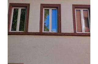 Wohnung mieten in Rheintorstraße, 67346 Speyer, Neu sanierter Altbau mit 1- bzw. 3-Zimmer-Wohnungen im Herzen der Altstadt