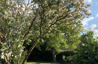 Einfamilienhaus kaufen in 38350 Helmstedt, Einfamilienhaus mit Loftcharakter