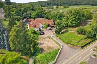 Haus kaufen in 76887 Bad Bergzabern, Landgut in der Toskana der Südpfalz