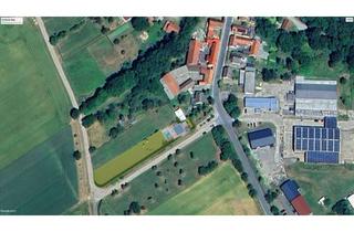 Villa kaufen in 99428 Nohra, Traumvilla in Utzberg
