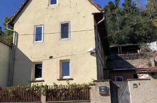 Haus kaufen in 06618 Wethau, EFH mit Lagerfläche und kleinem Bunker in Wethau bei Naumburg