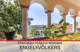 Haus kaufen in 67591 Mölsheim, Ehemaliges Hofgut in Mölsheim